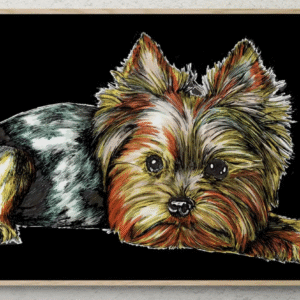 Yorkie Wall Art