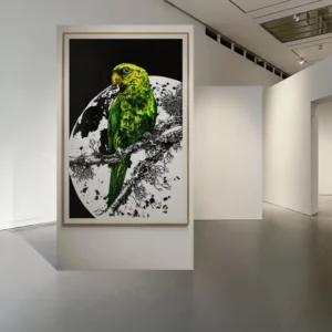 Parrot Wall Art